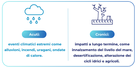 Immagine 2025-06-17 105748